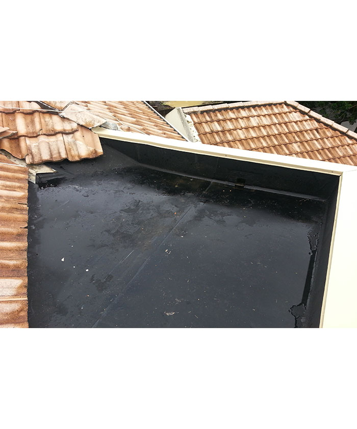 Butynol Roof Prior to Replacement
