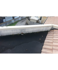 Butynol Guttering