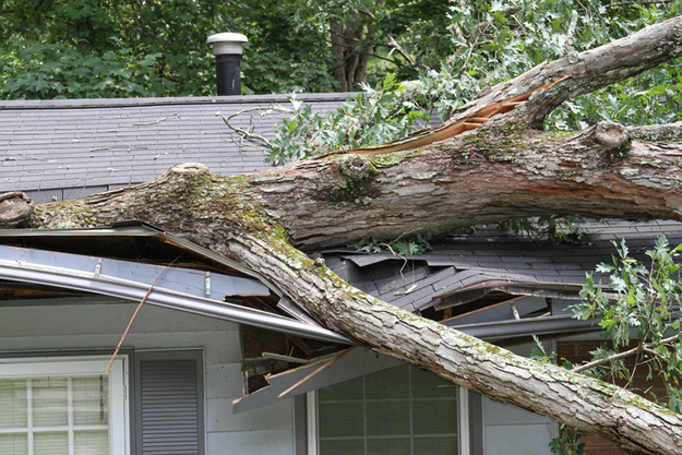 Roof Insurance